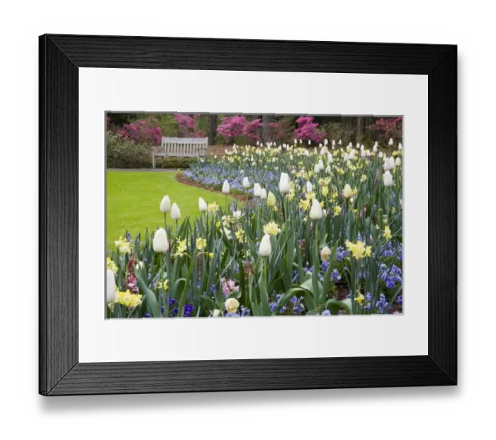 Framed Print : USA, North America, Georgia Framed Print : USA, North America, Georgia