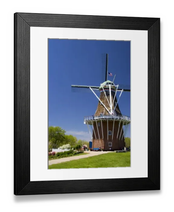 Framed Print : Windmill Island park with tulips in bloom at Holland, Michigan