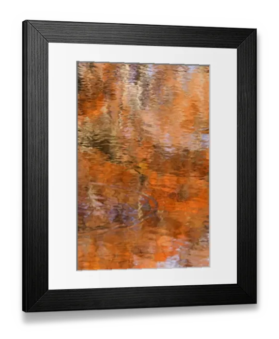 Framed Print : USA, Georgia, George Smith State Park, Reflections of cypress trees in the fall Framed Print : USA, Georgia, George Smith State Park, Reflections of cypress trees in the fall