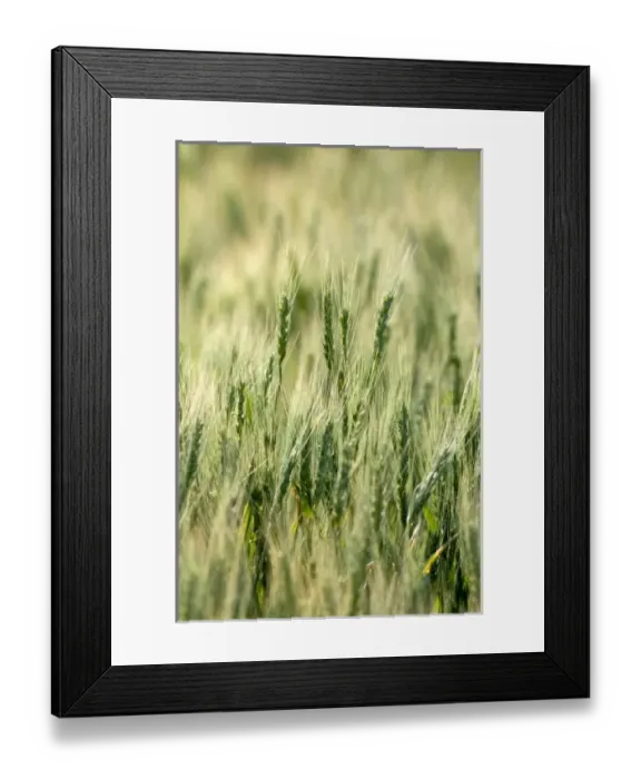 Framed Print : USA, North America, Idaho Framed Print : USA, North America, Idaho
