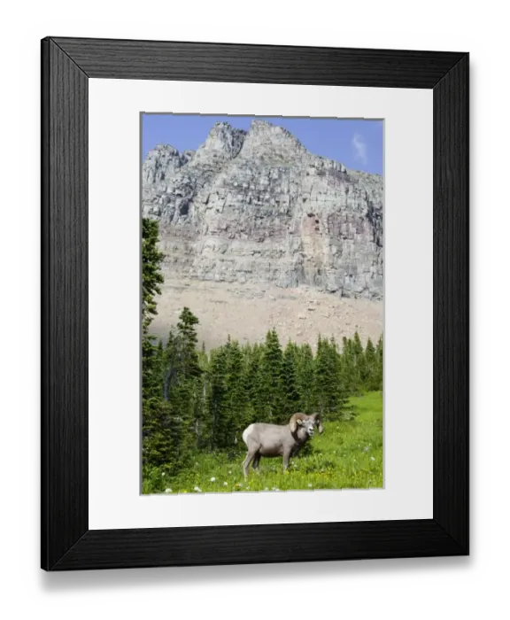 Framed Print : USA, North America, Montana Framed Print : USA, North America, Montana