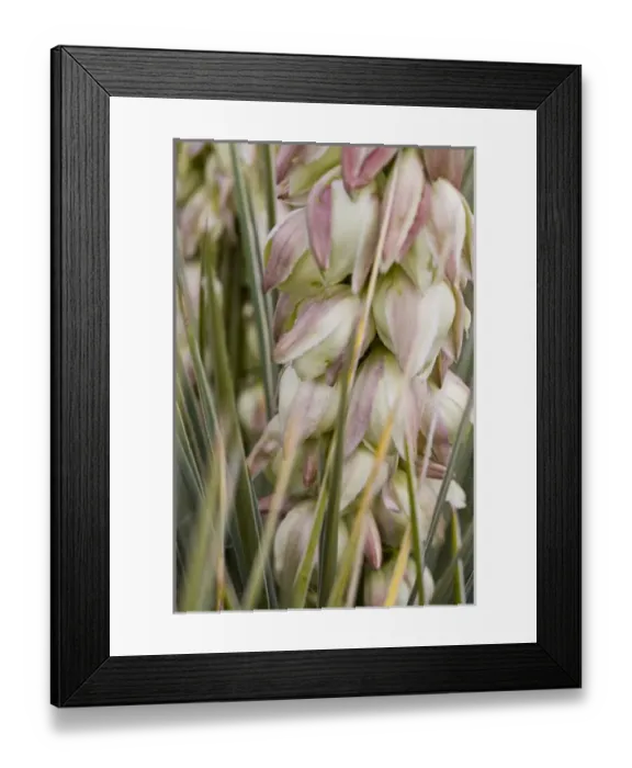 Framed Print : USA, North America, Nebraska Framed Print : USA, North America, Nebraska