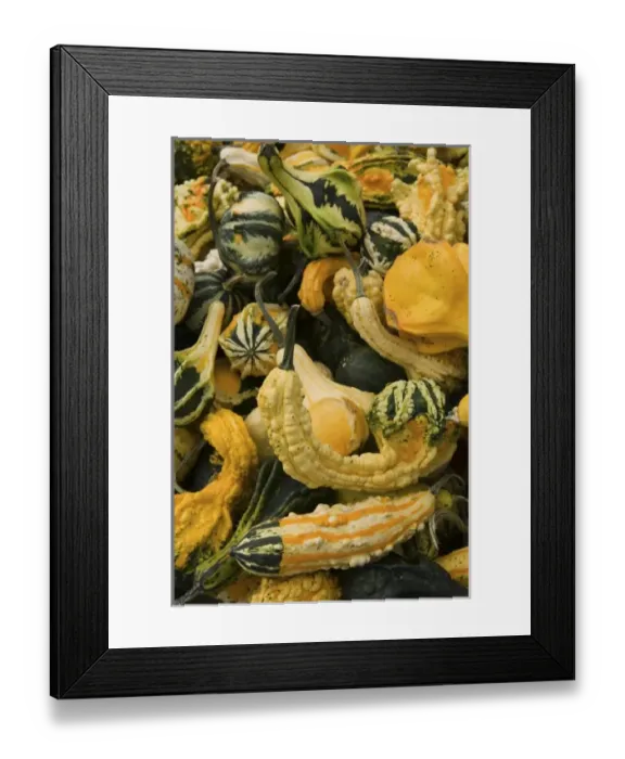 Framed Print : USA, North America, Massachusetts Framed Print : USA, North America, Massachusetts