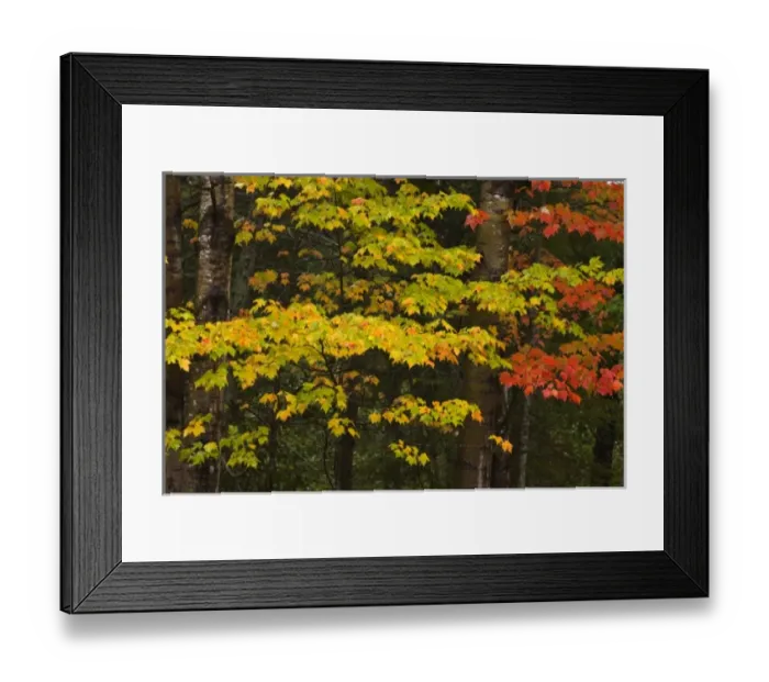Framed Print : USA, North America, Michigan Framed Print : USA, North America, Michigan