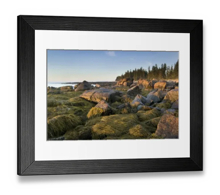 Framed Print : Sunrise over the Atlantic, Natural Seawall, Acadia National Park, Maine, USA Framed Print : Sunrise over the Atlantic, Natural Seawall, Acadia National Park, Maine, USA