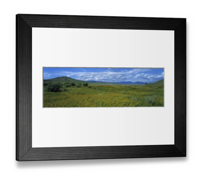 Framed Print : USA, Idaho, Lucky Lake. Sagebrush and golden wildflowers meadows surround Lucky Lake, Idaho Framed Print : USA, Idaho, Lucky Lake. Sagebrush and golden wildflowers meadows surround Lucky Lake, Idaho