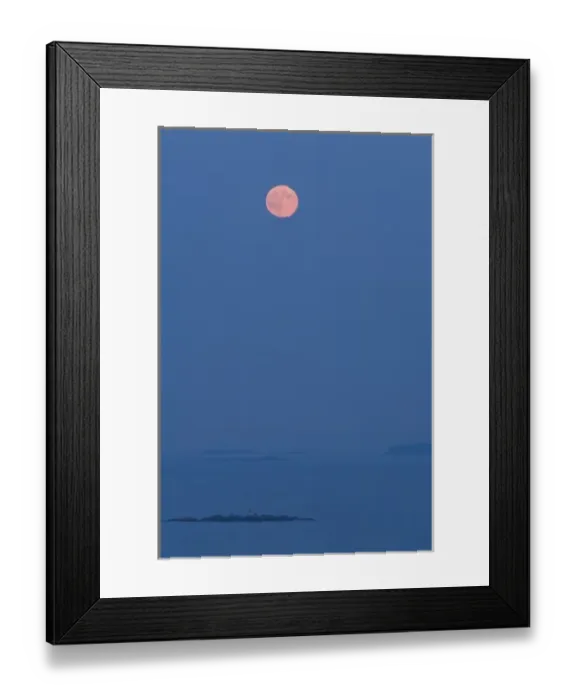 Framed Print : USA, Maine. Full moon rises over the ocean at Marshall Point Framed Print : USA, Maine. Full moon rises over the ocean at Marshall Point