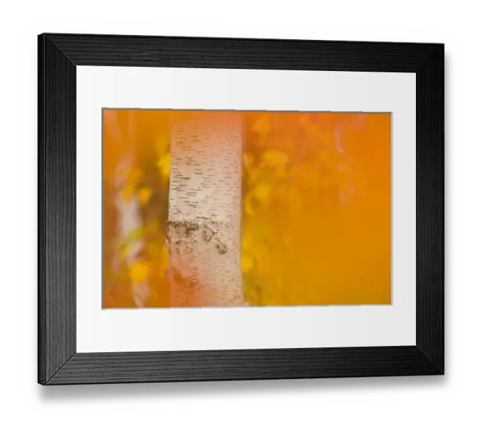 Framed Print : USA, North America, New Hampshire Framed Print : USA, North America, New Hampshire