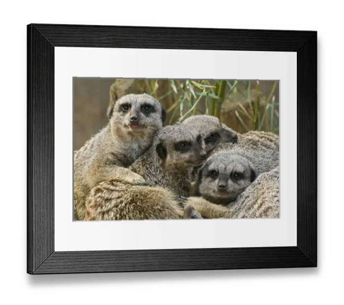 Framed Print : USA, North America, Kentucky Framed Print : USA, North America, Kentucky