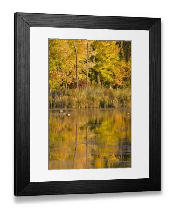 Framed Print : USA, North America, Minnesota Framed Print : USA, North America, Minnesota