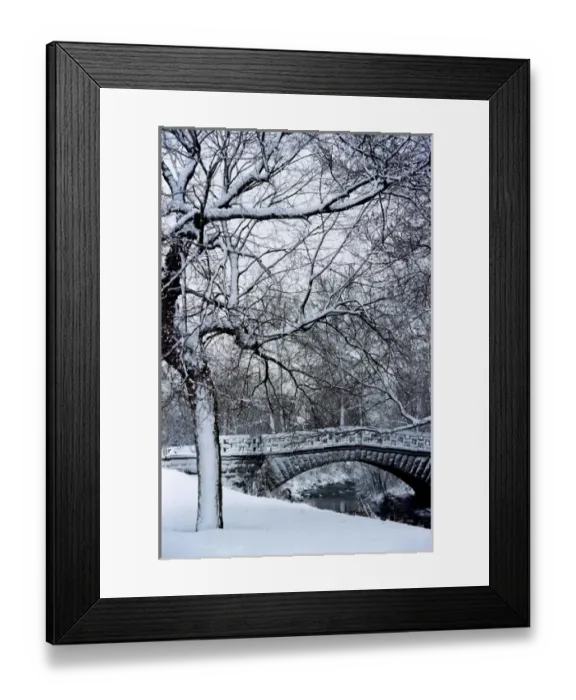 Framed Print : USA, Indiana, Indianapolis. Winter in Garfield park Framed Print : USA, Indiana, Indianapolis. Winter in Garfield park