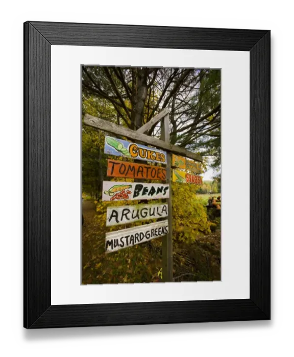 Framed Print : A farm stand in Holderness, New Hampshire Framed Print : A farm stand in Holderness, New Hampshire