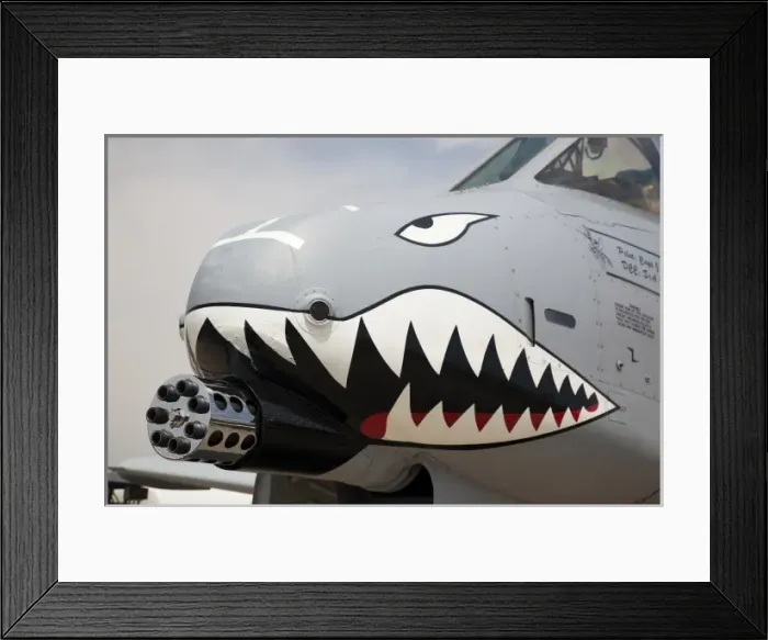 Framed Print : USA, Indiana, Indianapolis, Mount Comfort Airport. Front of an A-10 Thunderbolt II Framed Print : USA, Indiana, Indianapolis, Mount Comfort Airport. Front of an A-10 Thunderbolt II