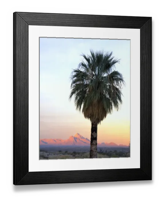 Framed Print : USA, North America, Nevada
