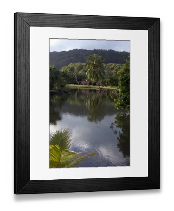 Framed Print : USA, Hawaii, Kauai, Smith Family Luau Framed Print : USA, Hawaii, Kauai, Smith Family Luau