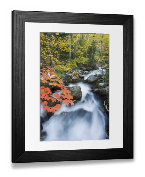 Framed Print : USA, North America, Maine Framed Print : USA, North America, Maine