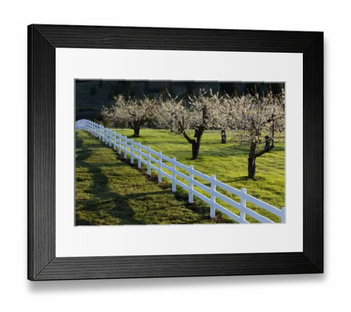 Framed Print : USA, North America, Montana