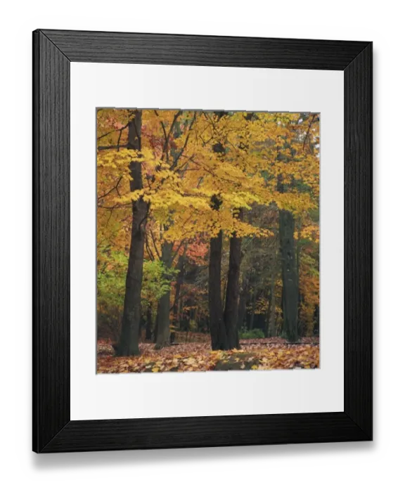 Framed Print : USA, North America, Indiana Framed Print : USA, North America, Indiana