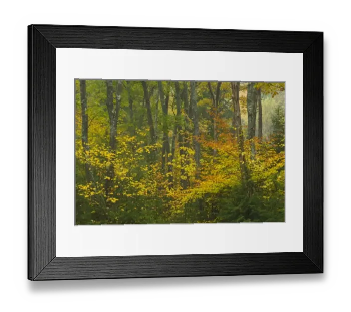 Framed Print : USA, North America, Maine Framed Print : USA, North America, Maine
