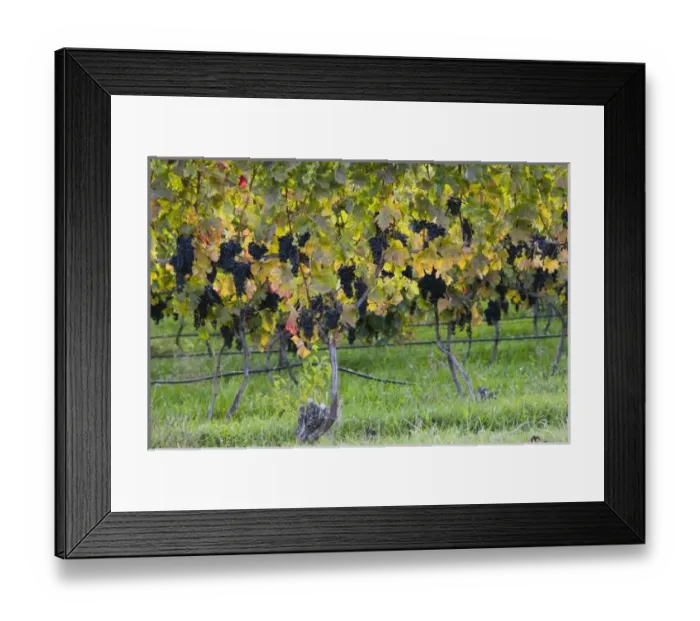 Framed Print : USA, North America, Michigan Framed Print : USA, North America, Michigan