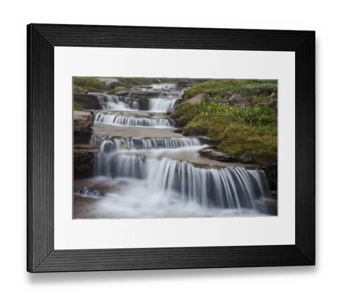 Framed Print : The Hanging Gardens at Logan Pass in Glacier National Park in Montana Framed Print : The Hanging Gardens at Logan Pass in Glacier National Park in Montana