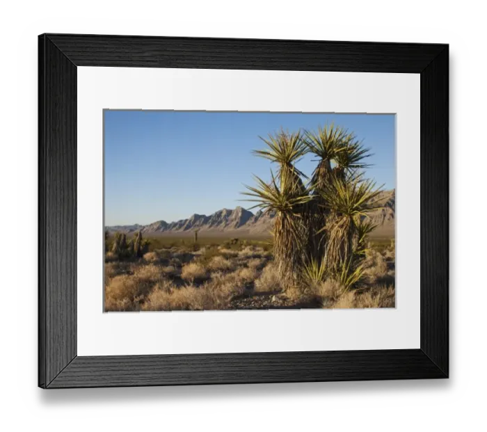 Framed Print : USA, North America, Nevada Framed Print : USA, North America, Nevada