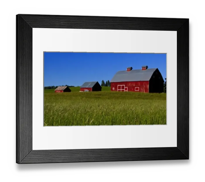 Framed Print : A view of three barns in Idaho Framed Print : A view of three barns in Idaho