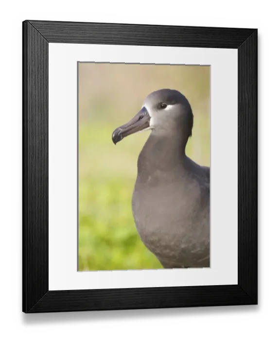 Framed Print : USA, North America, Hawaii Framed Print : USA, North America, Hawaii