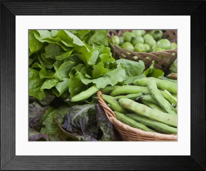 Framed Print : USA, North America, Montana Framed Print : USA, North America, Montana