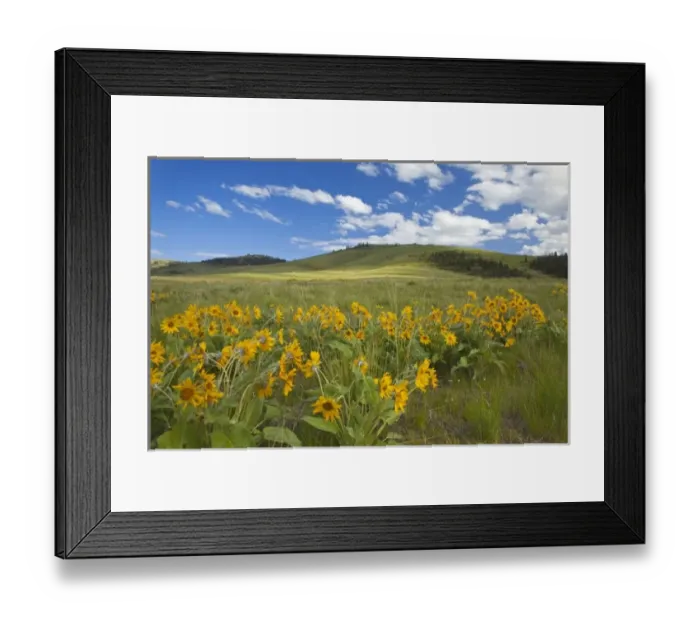Framed Print : USA, North America, Montana Framed Print : USA, North America, Montana