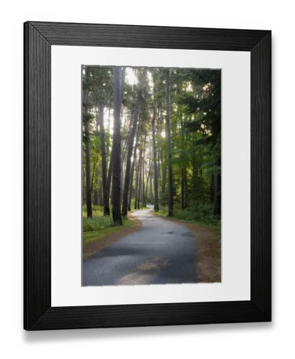 Framed Print : USA, Minnesota, Itasca State Park, Wilderness Drive Framed Print : USA, Minnesota, Itasca State Park, Wilderness Drive