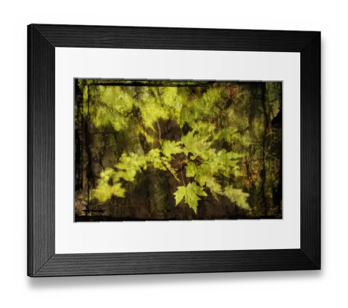 Framed Print : USA, North America, Maine Framed Print : USA, North America, Maine