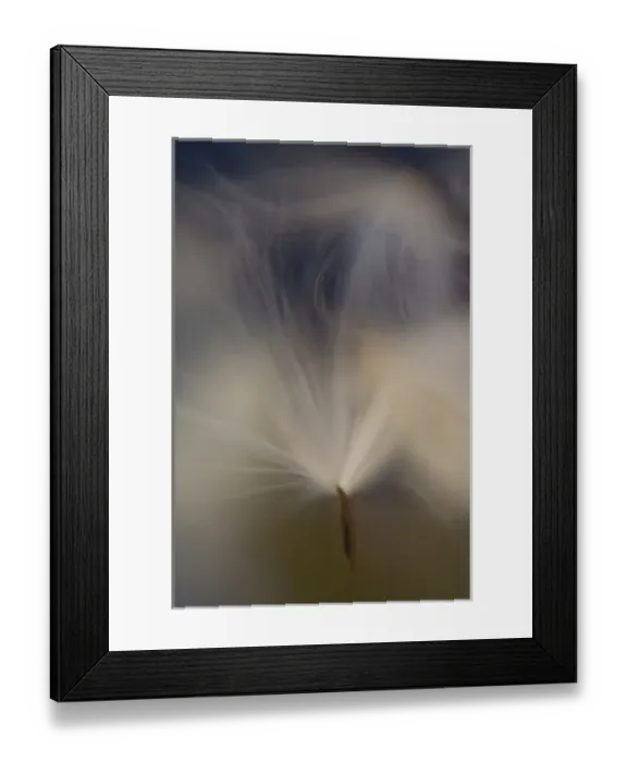 Framed Print : USA, North America, Maine Framed Print : USA, North America, Maine