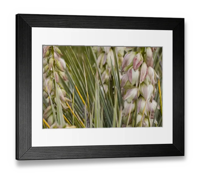 Framed Print : USA, North America, Nebraska Framed Print : USA, North America, Nebraska