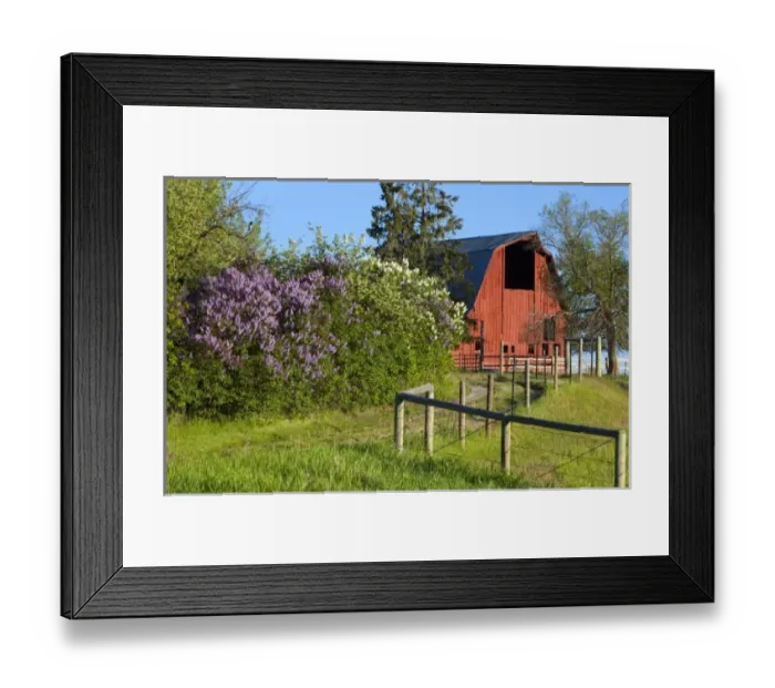 Framed Print : USA, North America, Montana Framed Print : USA, North America, Montana