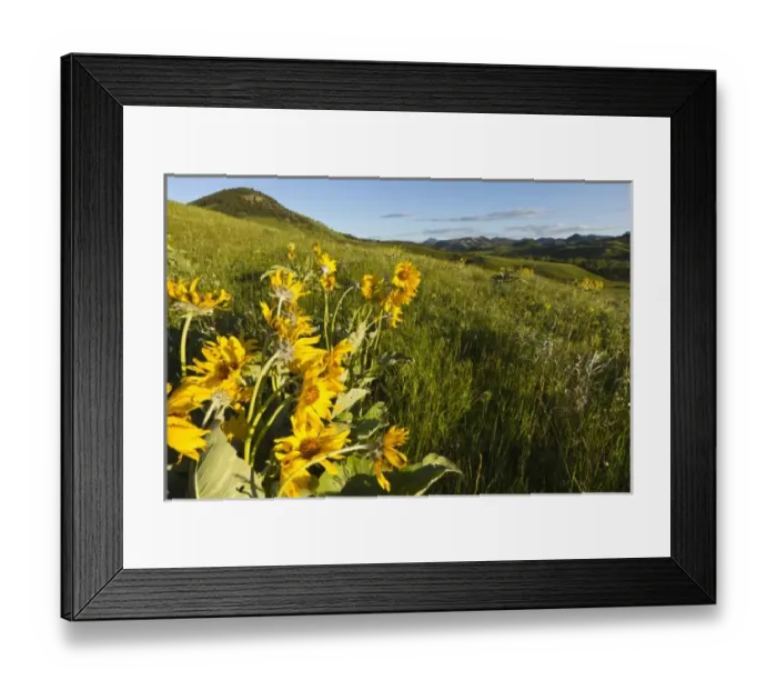 Framed Print : USA, North America, Montana