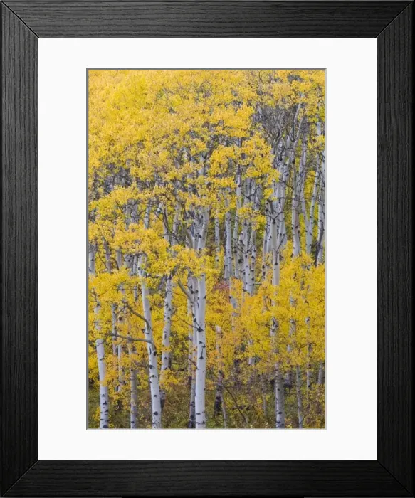 Framed Print : USA, North America, Montana Framed Print : USA, North America, Montana