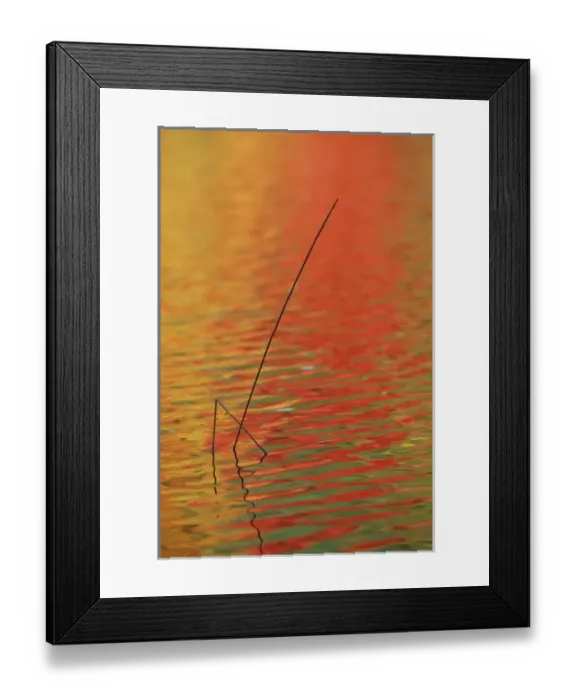 Framed Print : USA, Michigan, Upper Peninsula, Two lake reeds and autumn reflections Framed Print : USA, Michigan, Upper Peninsula, Two lake reeds and autumn reflections