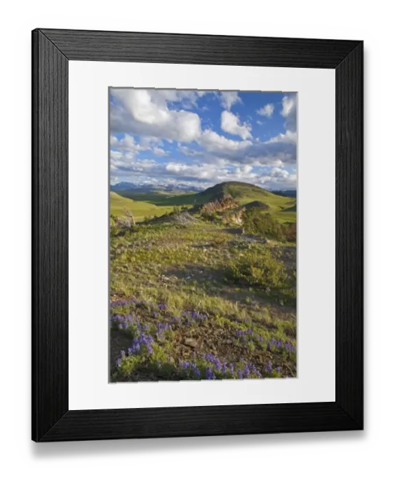 Framed Print : USA, North America, Montana Framed Print : USA, North America, Montana