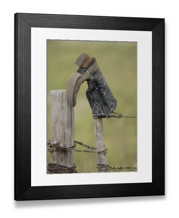 Framed Print : USA, North America, Missouri