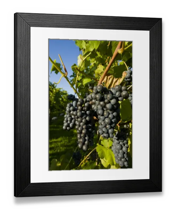 Framed Print : USA, North America, New Hampshire Framed Print : USA, North America, New Hampshire