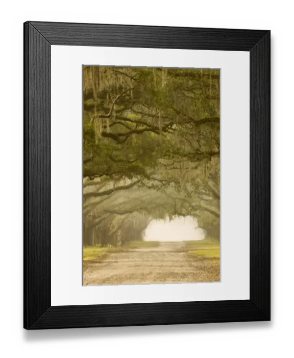 Framed Print : USA, North America, Georgia Framed Print : USA, North America, Georgia