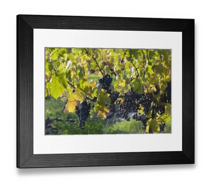Framed Print : USA, North America, Michigan Framed Print : USA, North America, Michigan