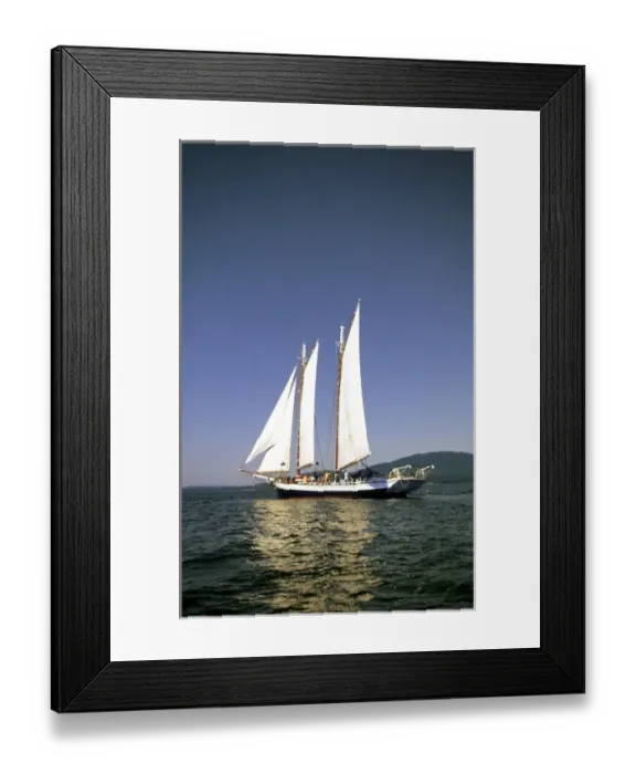 Framed Print : Schooner Maine, USA Framed Print : Schooner Maine, USA