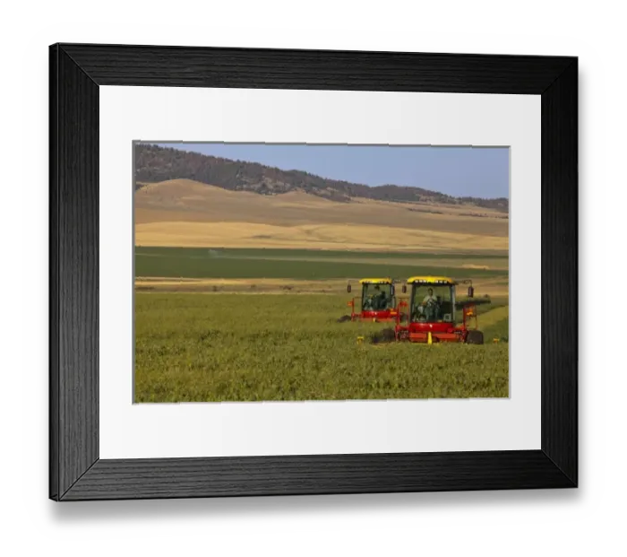 Framed Print : USA, North America, Montana Framed Print : USA, North America, Montana
