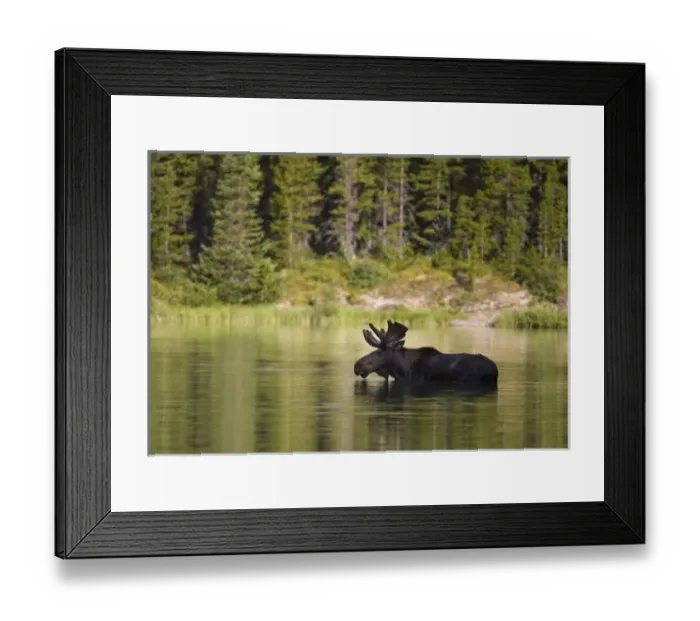Framed Print : USA, North America, Montana Framed Print : USA, North America, Montana