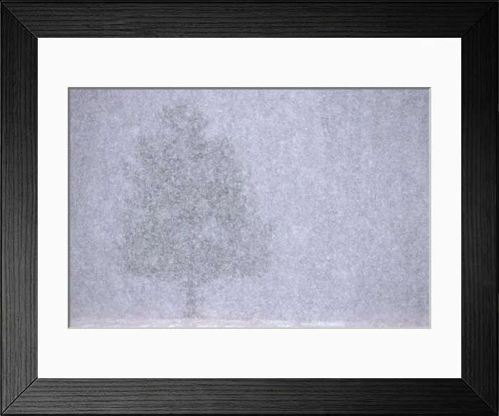 Framed Print : USA, Michigan, White pine made almost invisible by heavy snow squall Framed Print : USA, Michigan, White pine made almost invisible by heavy snow squall