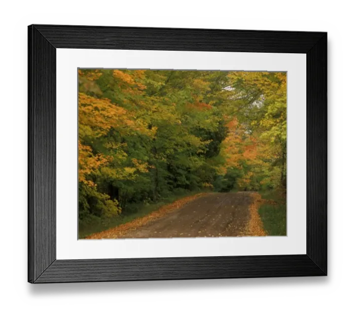 Framed Print : USA, Minnesota, Superior National Forest, Fall Colors Framed Print : USA, Minnesota, Superior National Forest, Fall Colors