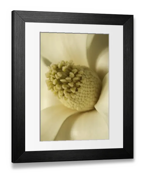Framed Print : USA, North America, Georgia Framed Print : USA, North America, Georgia