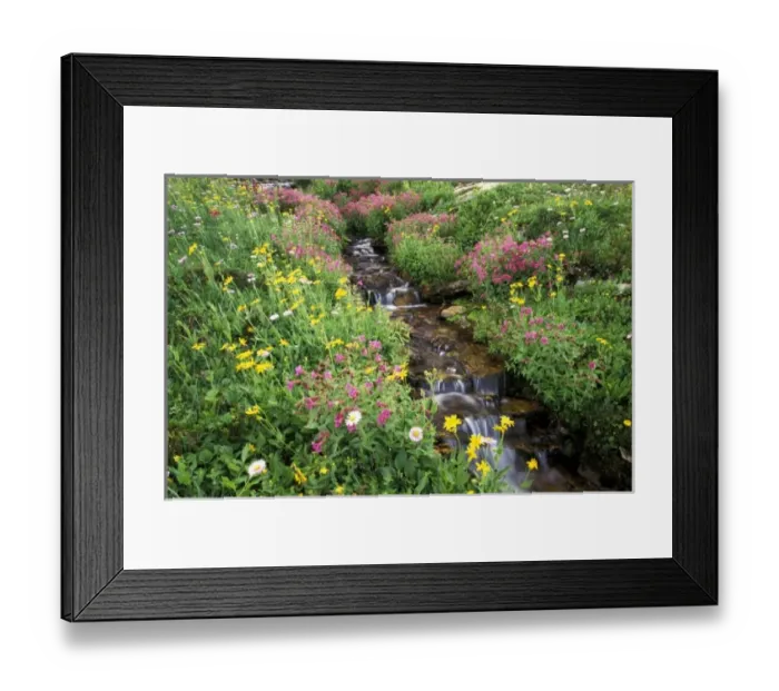 Framed Print : USA, North America, Montana